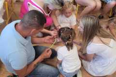 IMG-20260527-WA0010