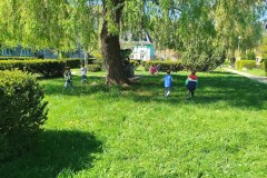 IMG_20250428_111320