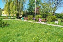 IMG_20250428_111428