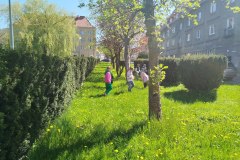 IMG_20250428_111617