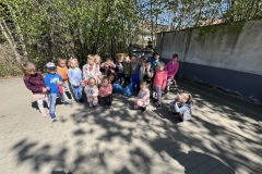 IMG_6071