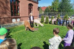 IMG_20250429_102137