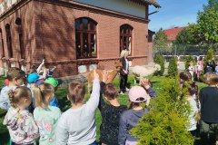IMG_20250429_102200