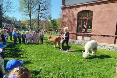 IMG_20250429_102222