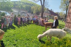 IMG_20250429_102234