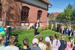 IMG_20250429_102440