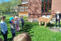IMG_20250429_103103