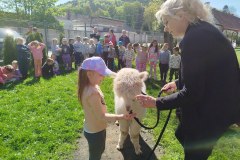 IMG_20250429_103925