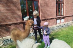 IMG_20250429_103955