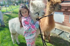 IMG_20250429_104536