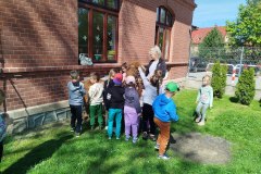 IMG_20250429_105604