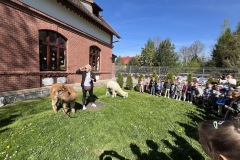 IMG_6086