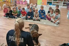 att.nbuihEGAJ_kzzpaKXn5f_BRigrQd7lh2ErSmF44j2Ac