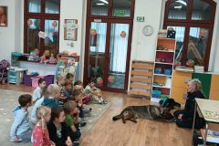 att.qGF5Kru1Bq4C0WXaZ8j9umNPeOYg_l9bJJpNXDs97jo