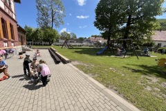 IMG_6353