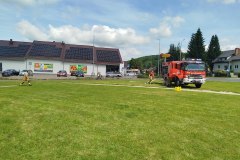 IMG_20250617_110312