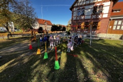 IMG_2461