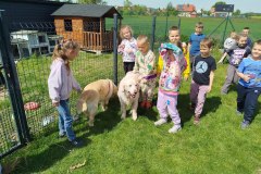 IMG_20250514_110601