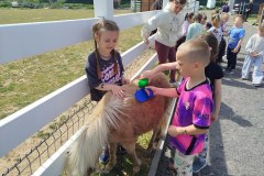 IMG_20250514_111304